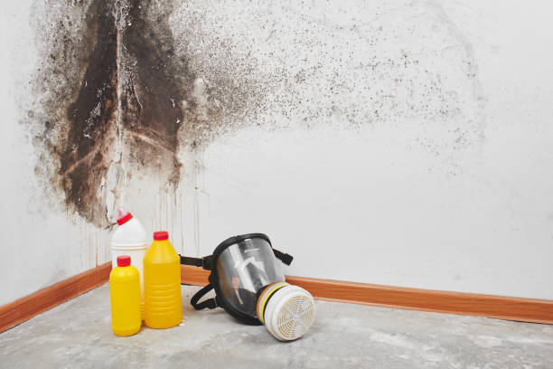 Best Certified Mold Removal  in Athens, PA